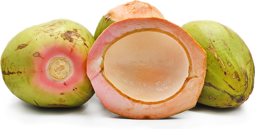 Pink coconuts