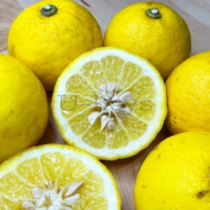 Citrus15