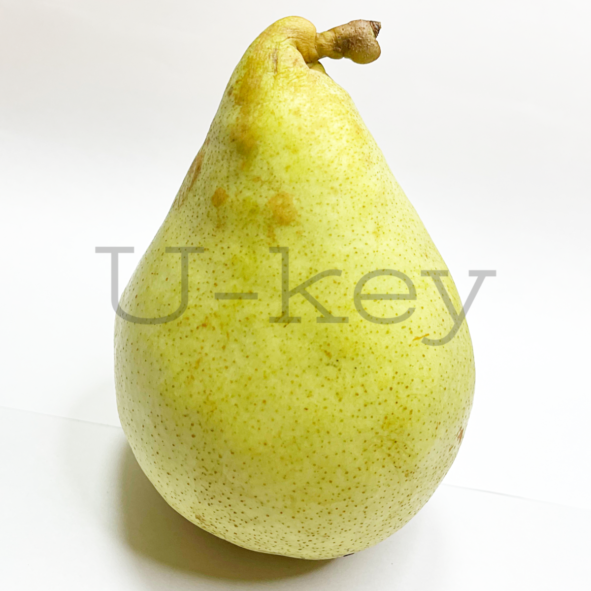 Pear ‘Marguerite marillat’ Pyrus communis
