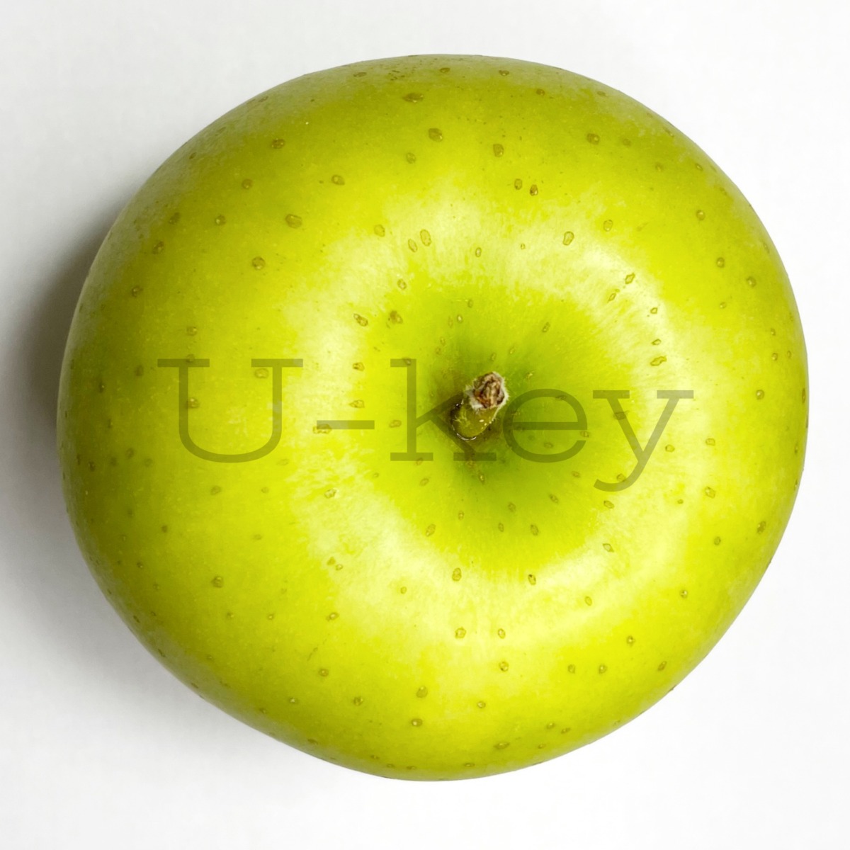 Apple ‘Kiou’, Malus domestica