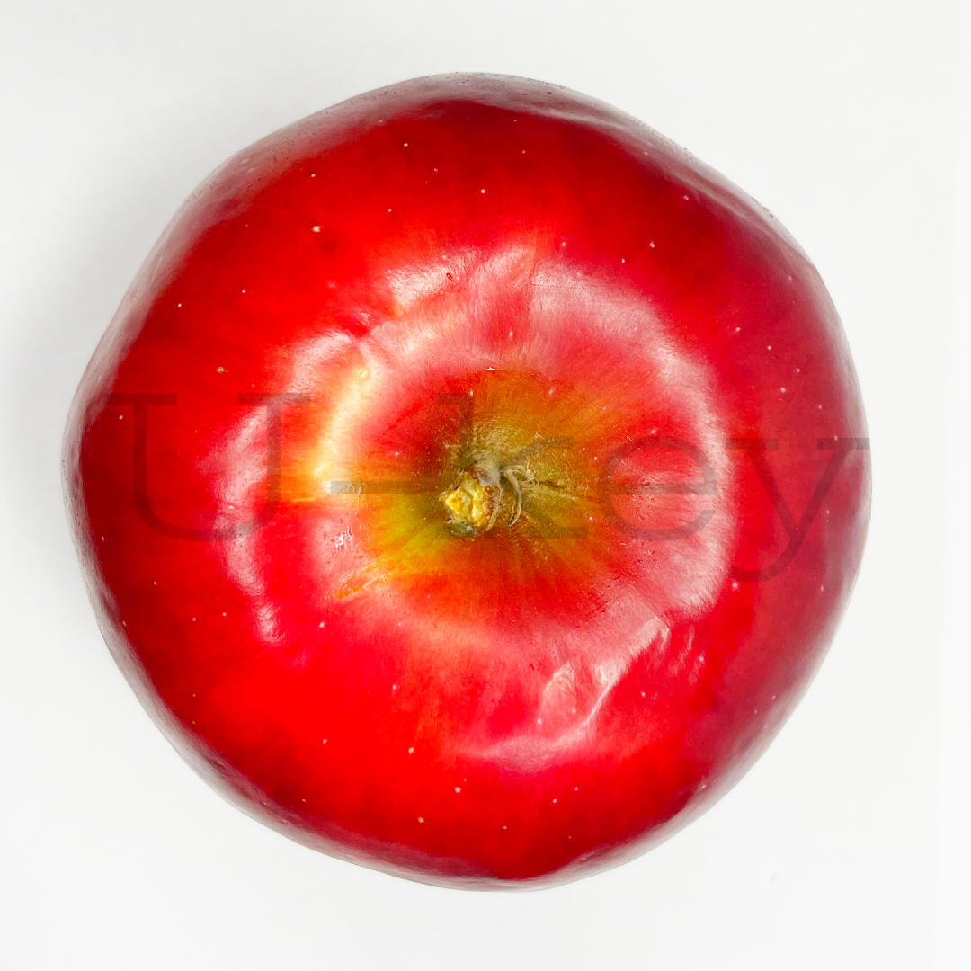 Apple ‘Kogyoku’, Malus domestica