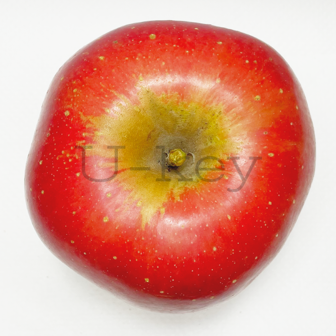 Apple ‘Oirase’, Malus domestica