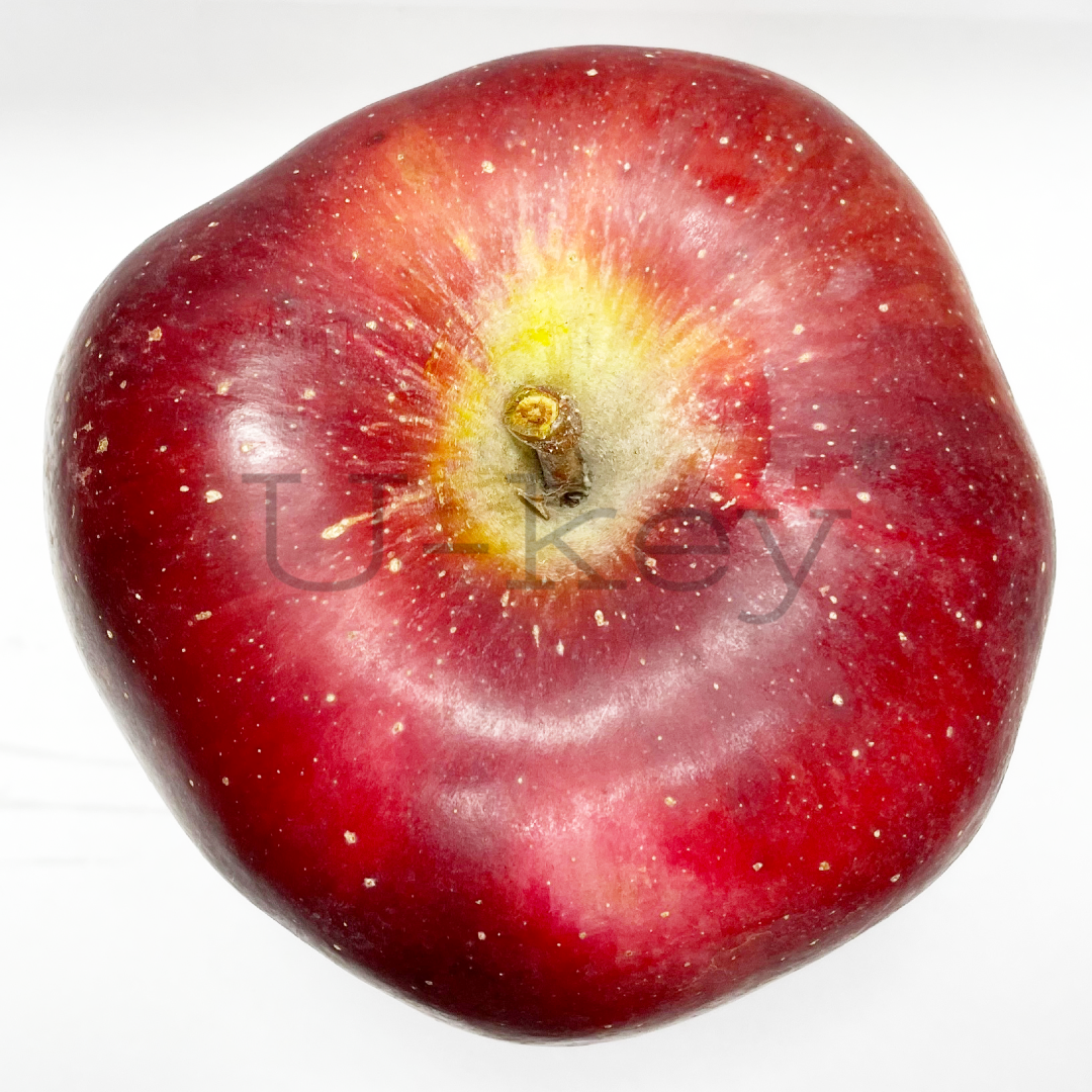 Apple ‘Starking Delicious’, Malus domestica