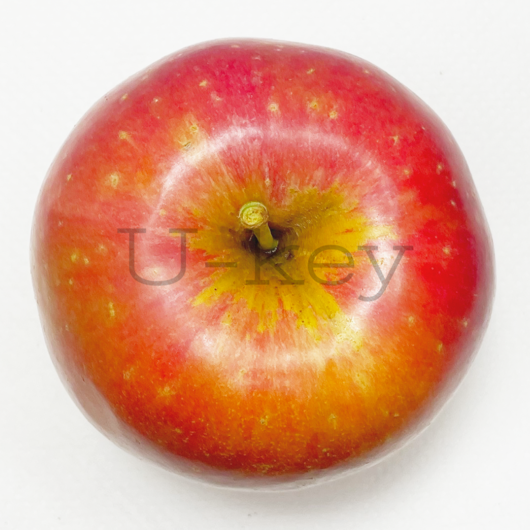 Apple ‘Himekami’, Malus domestica