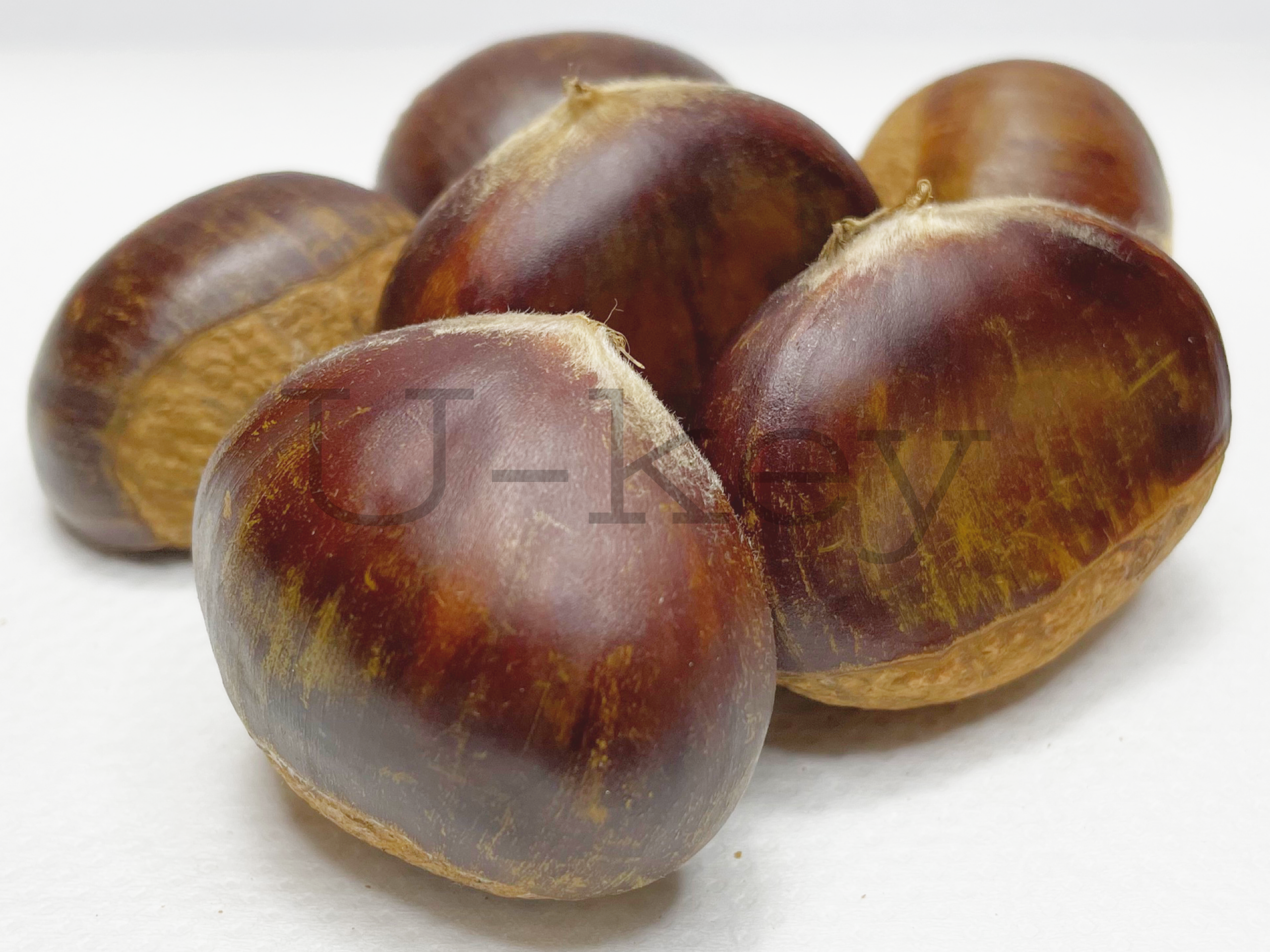 Chestnuts ‘Rihei’,Castanea crenata x C.mollissima