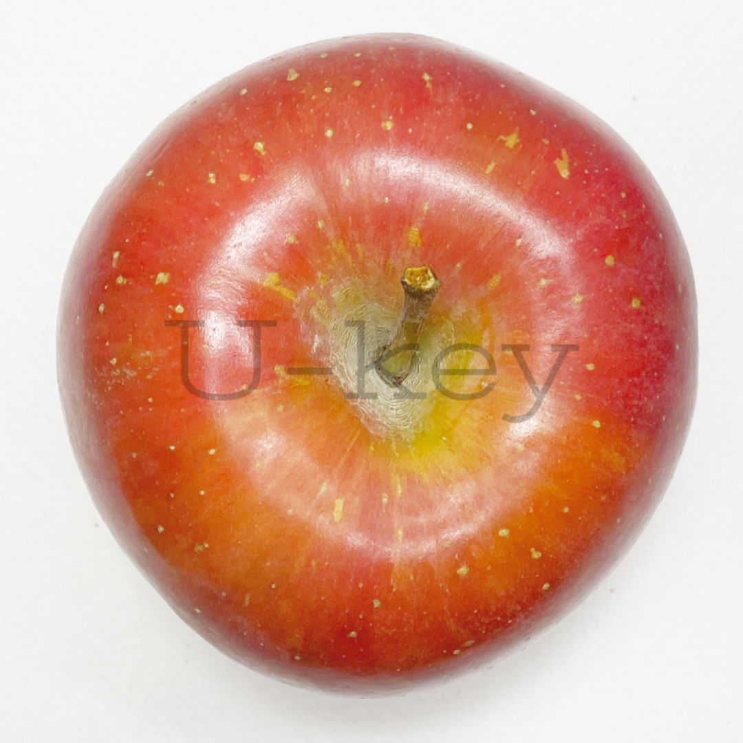 Apple ‘Korin’, Malus domestica