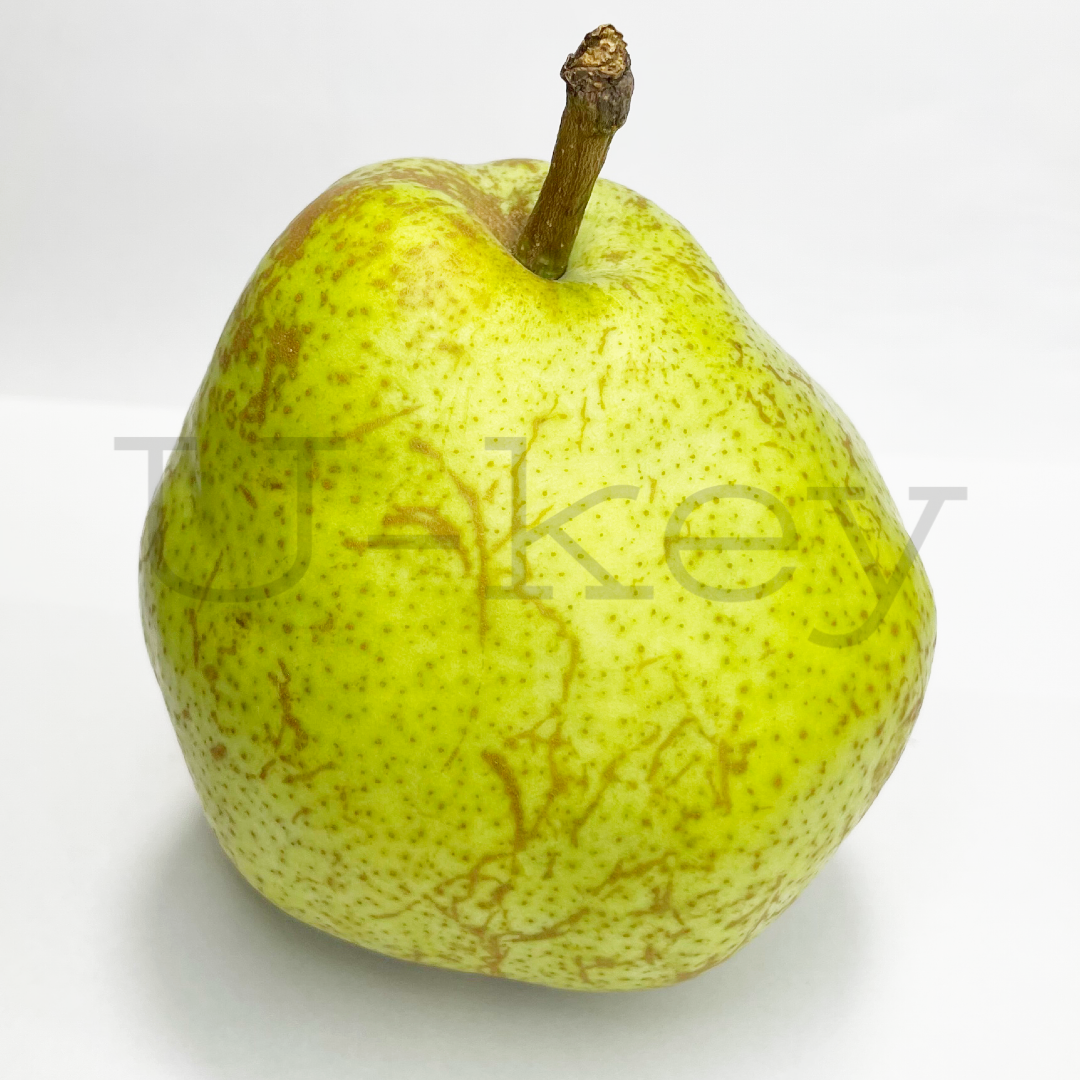 Pear ‘Claude Blanchet’ Pyrus communis