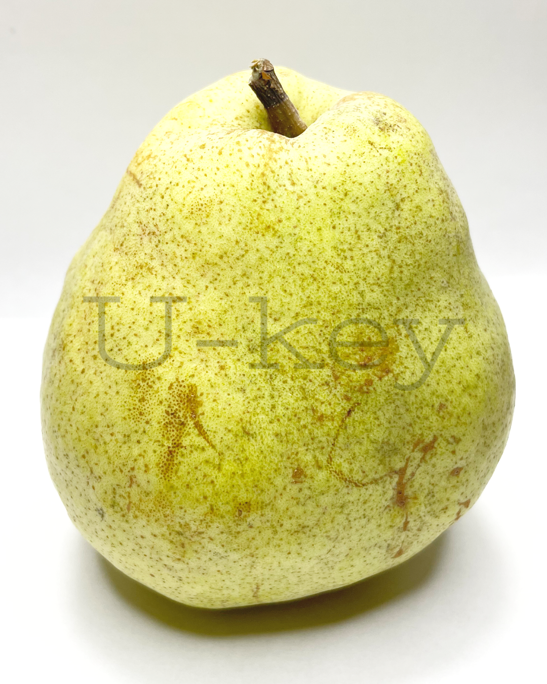 Pear ‘Doyenne du Comice’ Pyrus communis