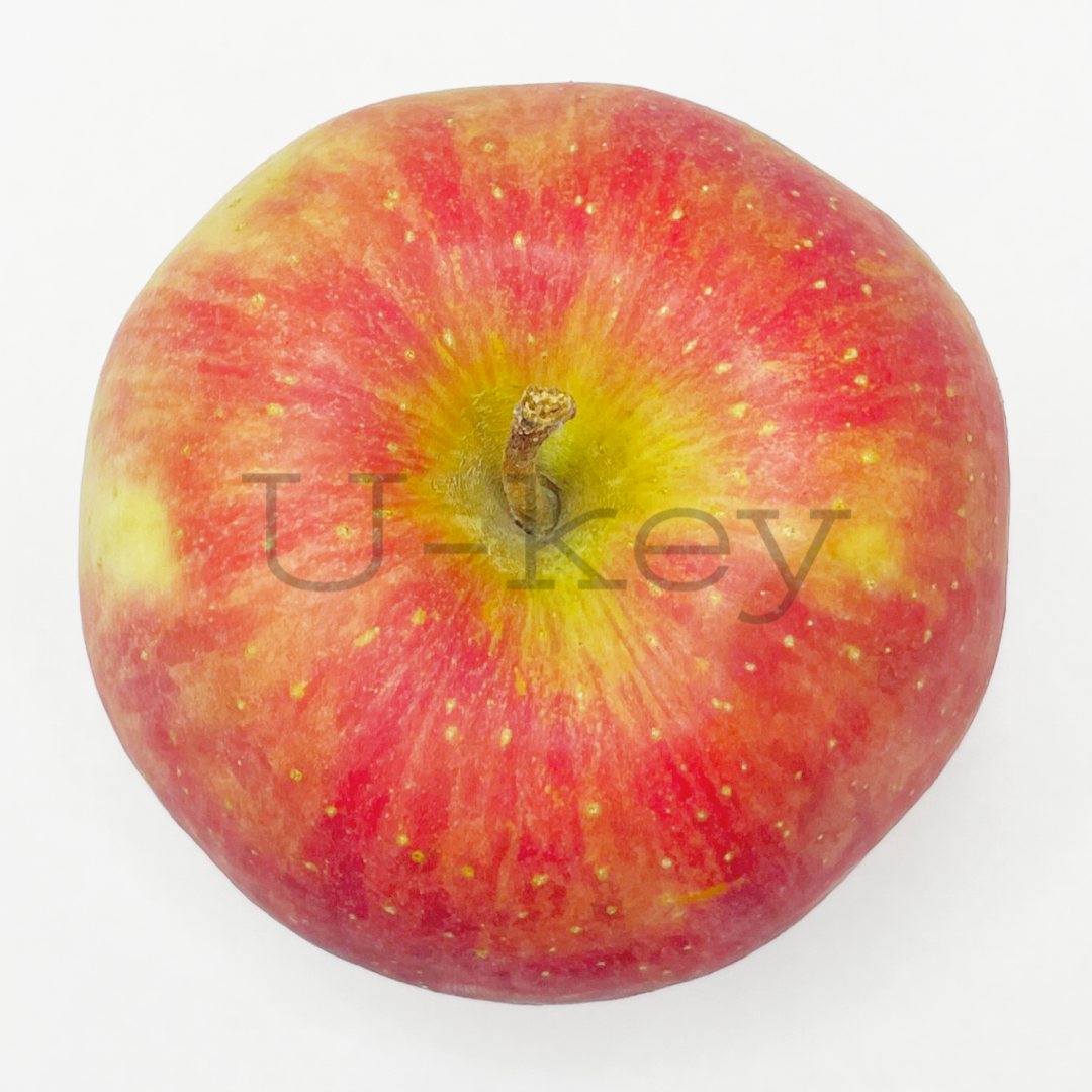 Apple ‘Tsugaru’, Malus domestica