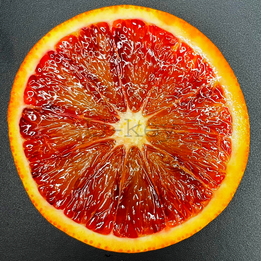 Blood Orange “Tarocco”,Citrus x sinensis