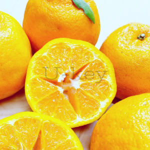 Citrus14