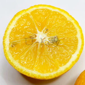 Citrus18