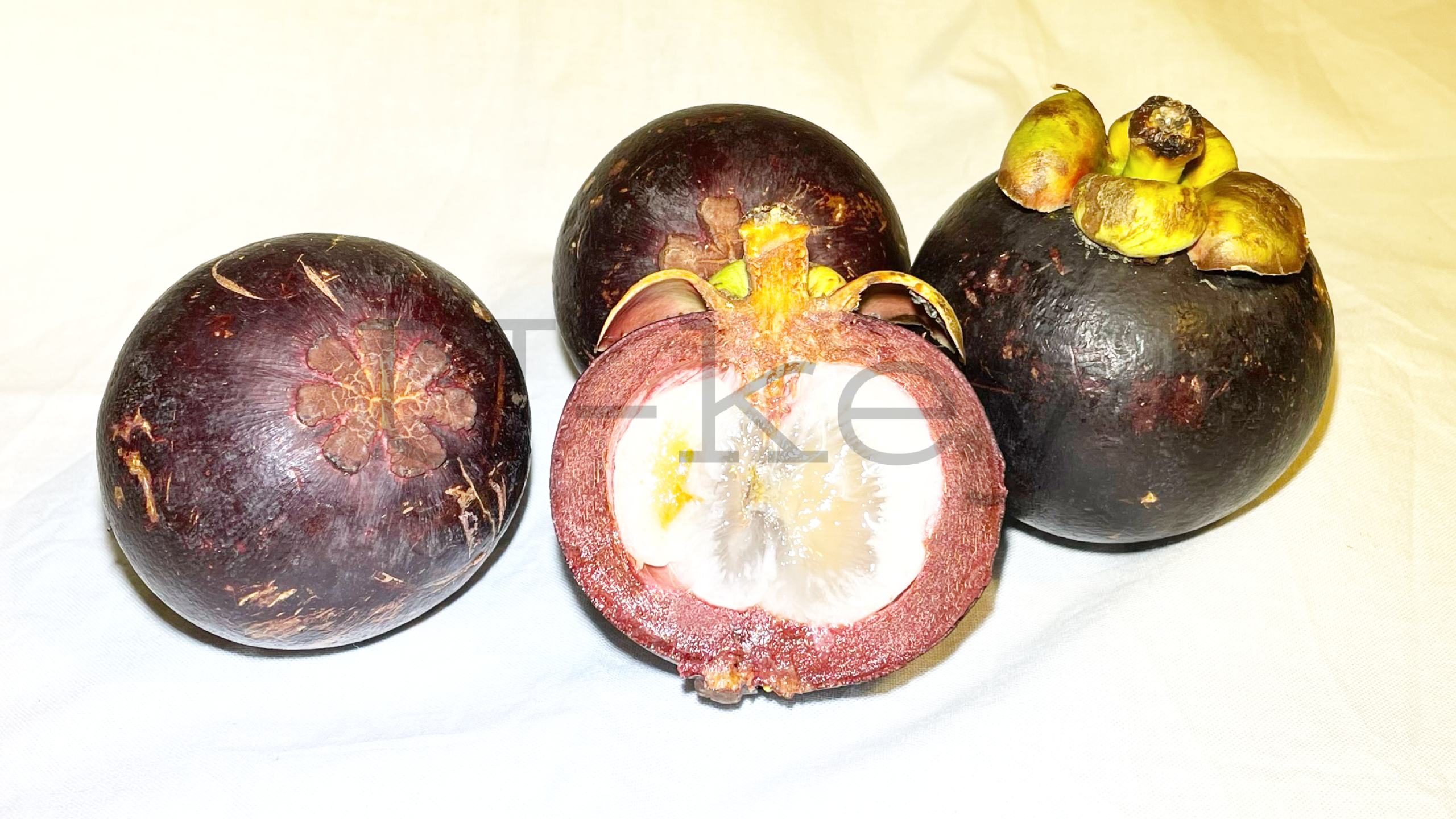 Mangosteen,Garcinia mangostana