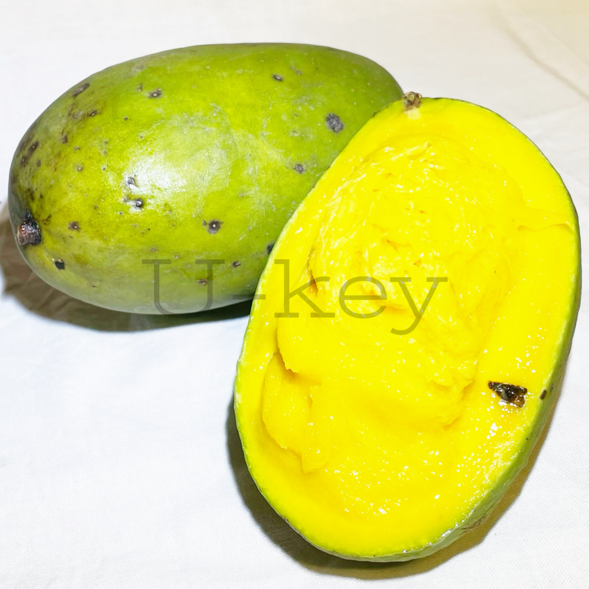 Kuwini Mango,Mangifera odorata