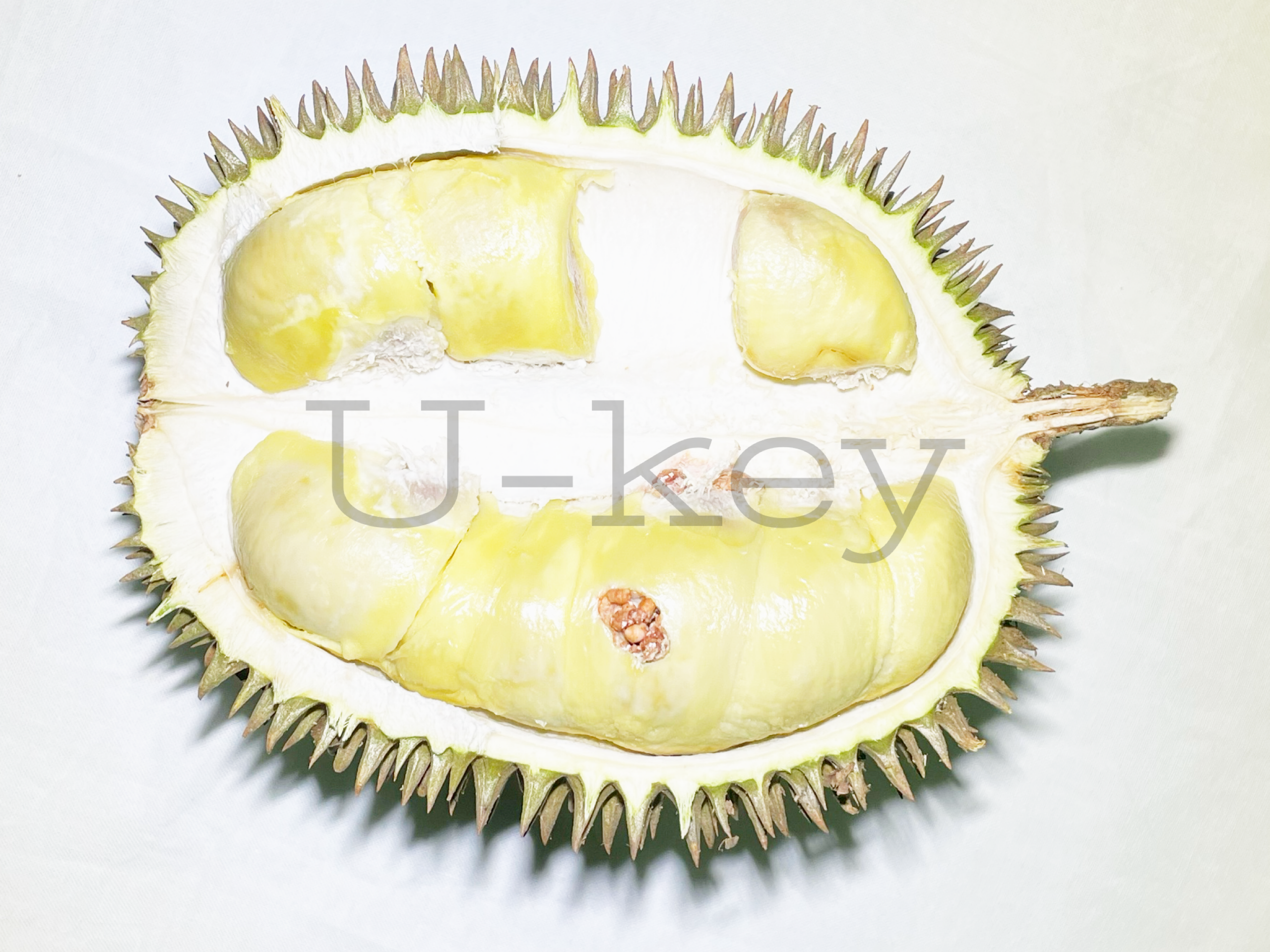 Durian,Durio zibethinus