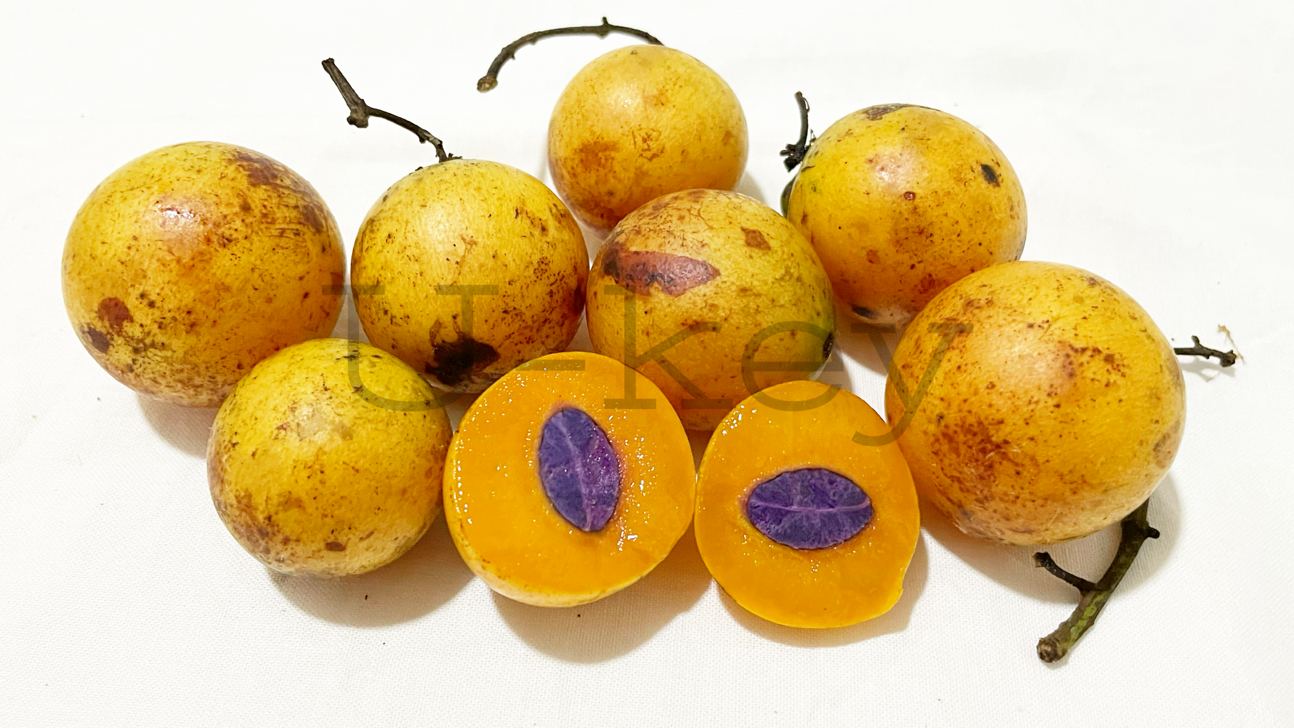 Round Plum Mango,Bouea oppositifolia