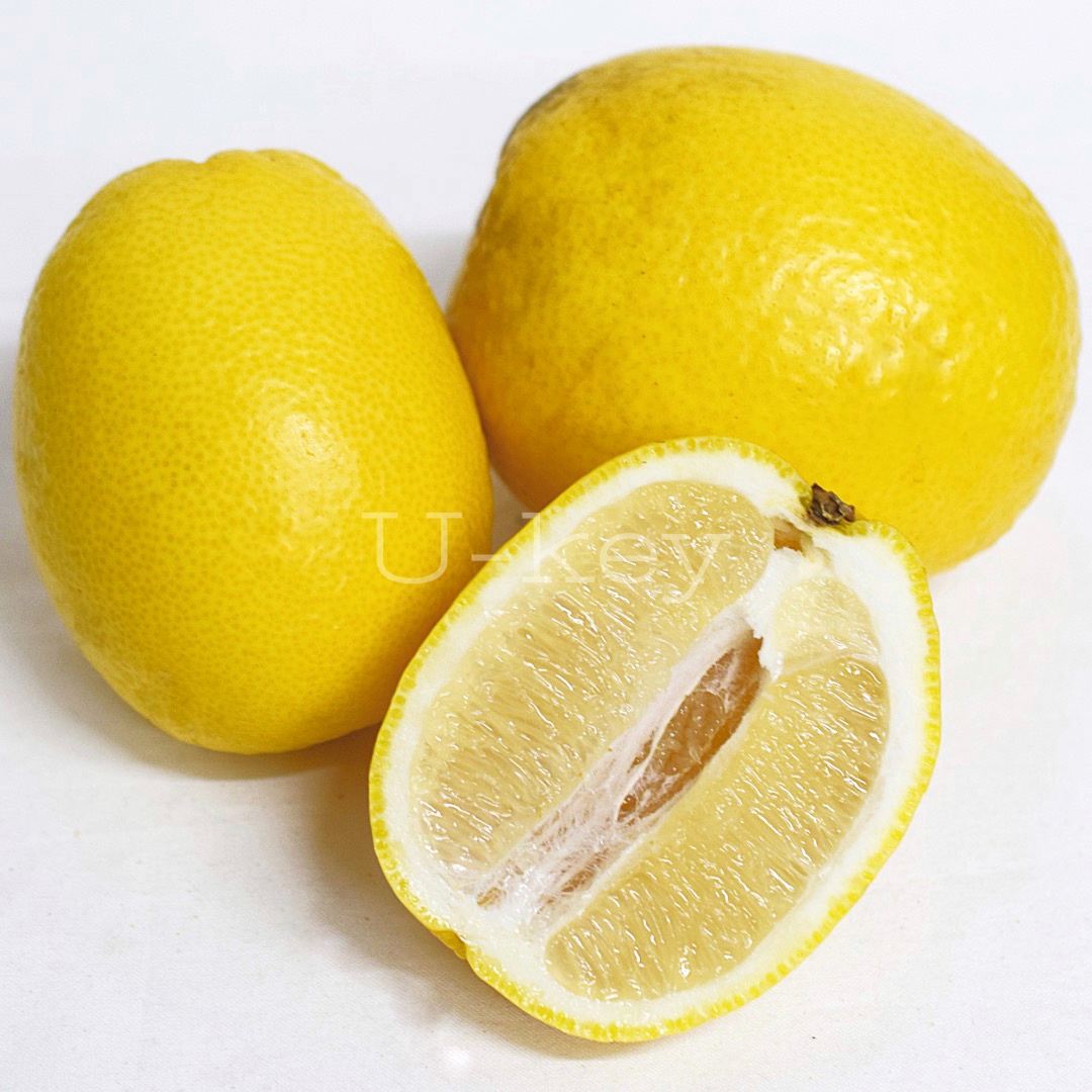 Yuge-hyokan, Citrus ampullacea