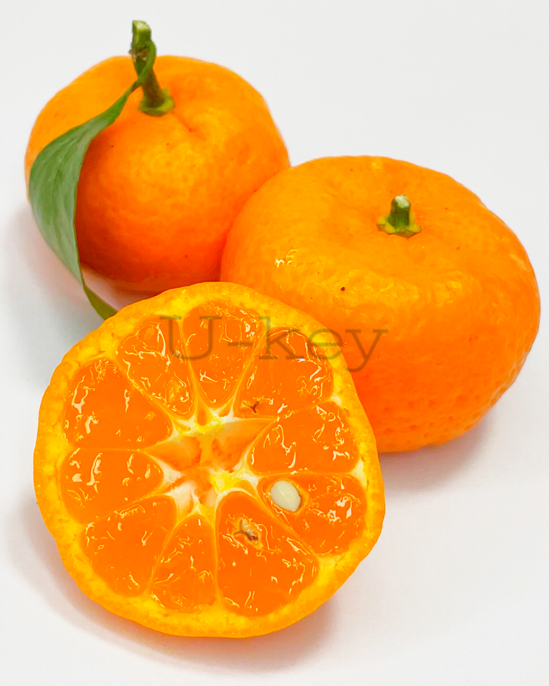 Kisyu Mikan,Citrus kinokuni